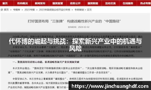 代怀博的崛起与挑战：探索新兴产业中的机遇与风险